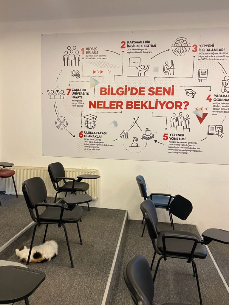 Photo: Ayse Yorgancioglu